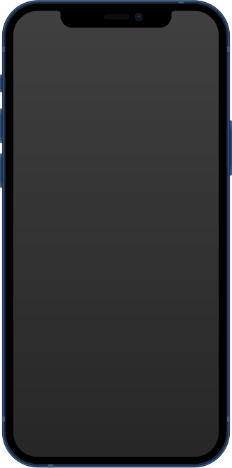 iPhone 12 (Certified Used)